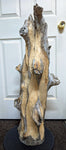 An early rough carving stage of a large 36.7" tall natural driftwood sculpture with complex branching and some textured and smooth surfaces, displayed in front of a white paneled door.