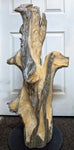 An early rough carving stage of a large 36.7" tall natural driftwood sculpture with complex branching and some textured and smooth surfaces, displayed in front of a white paneled door.