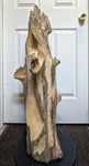 An early rough carving stage of a large 36.7" tall natural driftwood sculpture with complex branching and some textured and smooth surfaces, displayed in front of a white paneled door.