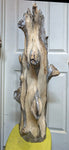 An early rough carving stage of a large 36.7" tall natural driftwood sculpture with complex branching and some textured and smooth surfaces, displayed in front of a white paneled door.