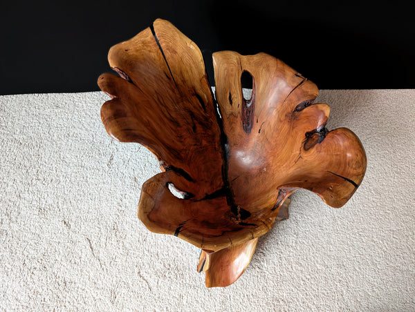 TOP view of a golden orange, beautifully rich grained, high sided, multi faceted exotic wood bowl, made from a Mountain mahogany tree's roots & trunk, 14.5 tall x 15.5 x 14’’, 13.7 lbs.