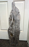 Front view of unfinished wood early on, 34 x 10 x 5.5 inches natural Ponderosa pine, longtime dead and down weathered wood that is about to be preserved and is ready to hang as a wall decor or set up as a tabletop sculpture.  It has two natural branch holes and a rough gray color.