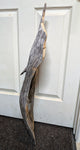 Side view of a 34 x 10 x 5.5 inches natural Ponderosa pine, longtime dead and down weathered wood that is about to be preserved and ready to hang as a wall decor or set up as a tabletop sculpture.  It has two natural branch holes and a rough gray color.