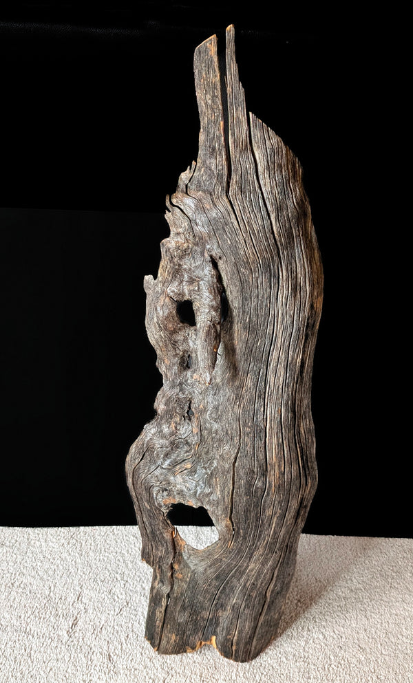 Front view of a 34 x 10 x 5.5 inches natural Ponderosa pine, longtime dead and down weathered wood that has been preserved and is ready to hang as a wall decor or set up as a tabletop sculpture.  It has two natural branch holes and a rough gray color.