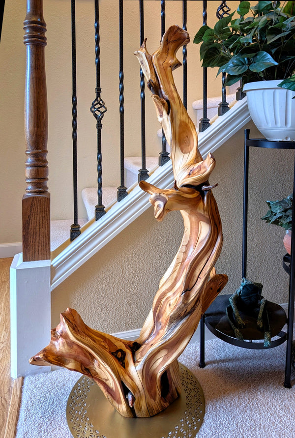 A golden brown and maroon arcing wooden sculpture with rich colors and grain patterns standing on the floor with a staircase and plants in the background. 
