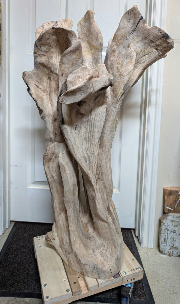 Freeform one-of-a-kind exotic sculpture still in its rough carving stage (but nearly finished), maple wood floor sculpture with asymmetrical twists and turns, grooves, see through sections, and unique cup-like shapes.  42.5 tall x 25 wide x 17''