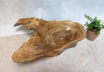 Rear  view (or front) and top of figured tan and brown maple wooden irregular bowl, smooth and soft with beautiful grain patterns, intriguing clear epoxy-filled fine cracks and rich natural colors (no stains or artificial colors added).  It measures 6 tall x 23 x 16’’, 5.8 lbs. Displayed on a light background with a potted green plant. 