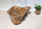 Left view of figured tan and brown maple wooden irregular bowl, smooth and soft with beautiful grain patterns, intriguing clear epoxy-filled fine cracks and rich natural colors (no stains or artificial colors added).  It measures 6 tall x 23 x 16’’, 5.8 lbs. Displayed on a light background with a potted green plant. 