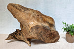 Artist Robert C Paulson Jr's signature and wood species showing on the bottom view of figured maple wooden irregular bowl, smooth and soft with beautiful grain patterns, intriguing clear epoxy-filled fine cracks and rich natural colors (no stains or artificial colors added).  It measures 6 tall x 23 x 16’’, 5.8 lbs. 