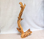 .. Tabletop or floor sculpture, Wood, twisted, elaborate shape, matte finish, 43'', Wabi Sabi, wabi-sabi, one-of-a-kind, asymmetric, upcycled, 998-L