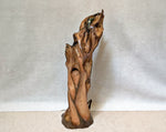 Rear view of a twisted vertical 27 inch tall Pacific Ocean abstract driftwood tabletop sculpture, Sitka spruce root, beautiful grain patterns, rich natural brown and light orange colors.  It measures 26.7 x 11.2 x 10.5’’, 9.95 lbs.  Has two naturally imbedded rocks and some white barnacle shells. 