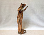 Left side view of a polished vertical 27 inch tall Pacific Ocean abstract driftwood tabletop sculpture, Sitka spruce root, beautiful grain patterns, rich natural brown and light orange colors.  It measures 26.7 x 11.2 x 10.5’’, 9.95 lbs.  Has two naturally imbedded rocks and some white barnacle shells. 