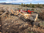 Red chainsaw on a log soon to become an exotic floor sculpture.  Shown in a forested area with mountains in the background
