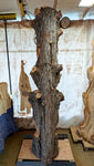 7.2' tall freeform abstract Western Juniper floor sculpture, Coming Soon, for the love of nature, Wood, Wabi Sabi, one-of-a-kind, asymmetric, 717-A