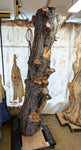 7.2' tall freeform abstract Western Juniper floor sculpture, Coming Soon, for the love of nature, Wood, Wabi Sabi, one-of-a-kind, asymmetric, 717-A