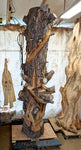 Front view of the early rough carving with bark still attached, standing in my shop's carving area.  