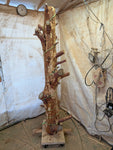 Tree trunk standing in my shop after the bark was removed and with a green rope that shows about where I will make a circular groove that determines the basic design. 