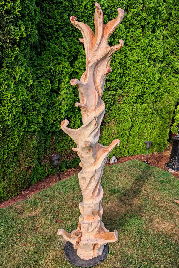 Front view of a beautiful rich colors and grain patterns, golden tan and maroon, flowing flared lines with multiple grooves, branches and intriguing shapes.  One-of-a-kind 76" tall by 21" x 20'' natural western juniper floor sculpture that emphasizes the tree's natural form and beauty.  It is smooth but has a few naturally rough surfaces. 76" tall wood sculpture seen here against a green background.