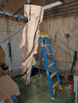 Completed 7 foot tall juniper floor sculpture hanging upside down so the first finish coat can be applied and have a chance to soak into the cavities in the wood that normally point upward.  This was an awkward procedure, but necessary. 