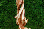 7.3' tall freeform abstract Western Juniper floor sculpture, for the love of nature, Wood, Wabi Sabi, one-of-a-kind, asymmetric, 717-A1