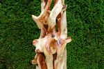 7.3' tall freeform abstract Western Juniper floor sculpture, for the love of nature, Wood, Wabi Sabi, one-of-a-kind, asymmetric, 717-A1