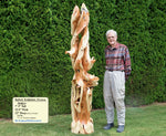 Sculptor Bob Paulson standing with a green tree hedge background beside his tall and twisted, rich looking one-of-a-kind 7' 3" tall by 22.5" x 22'' natural western juniper floor sculpture that emphasizes the tree's natural form and beauty.  It has some live edge design and is a combination of smooth surfaces with beautiful grain patterns and and a few slightly rough areas.  Some preserved insect holes show its past visitors.  In the lower left corner is a box showing the sculpture's size.