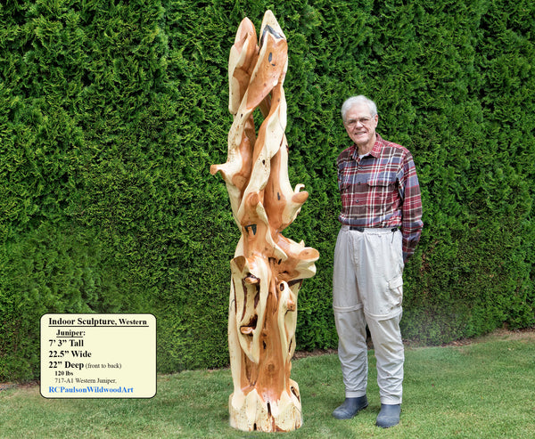 Sculptor Bob Paulson standing with a green tree hedge background beside his tall and twisted, rich looking one-of-a-kind 7' 3" tall by 22.5" x 22'' natural western juniper floor sculpture that emphasizes the tree's natural form and beauty.  It has some live edge design and is a combination of smooth surfaces with beautiful grain patterns and and a few slightly rough areas.  Some preserved insect holes show its past visitors.  In the lower left corner is a box showing the sculpture's size.