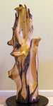 Possible front view of a 36.7" tall twisted floor sculpture in front of a beige wall. Some live edge enhancements. One-of-a-kind exotic,  It was created from Pacific Ocean driftwood.  It has beautiful and exotic grain patterns with rich natural golden orange, tan, brown, black and gray colors (no stains or artificial colors).  The art piece measures 36.7 x 14.5 x 12.25'', 21.87 lbs.   RC Paulson Wildwood Art