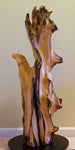 Possible rear view of a 36.7" tall twisted floor sculpture in front of a beige wall. Some live edge enhancements. One-of-a-kind exotic,  It was created from Pacific Ocean driftwood.  It has beautiful and exotic grain patterns with rich natural golden orange, tan, brown, black and gray colors (no stains or artificial colors).  The art piece measures 36.7 x 14.5 x 12.25'', 21.87 lbs.   RC Paulson Wildwood Art
