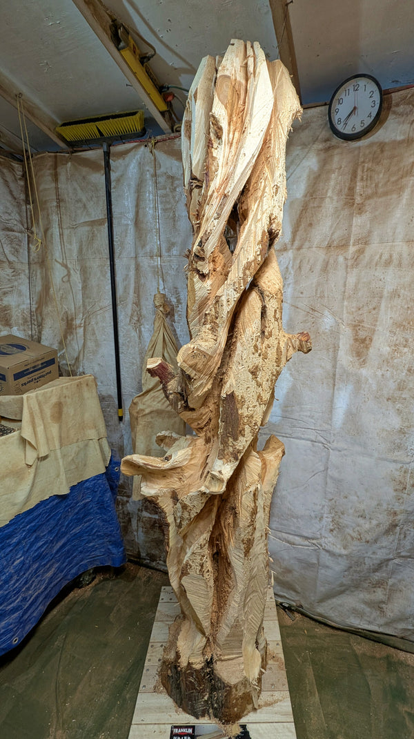 Early rough carving stage of what will become a rich looking one-of-a-kind 7+ foot tall by 24" x 20'' natural Western Juniper floor sculpture emphasizes the tree's natural form and beauty. It will have some live edge design and will be mostly smooth. &nbsp;It has beautiful grain patterns and will have rich golden tan and maroon natural colors (no stains or artificial colors added). When completed it will likely weigh about 160 lbs.