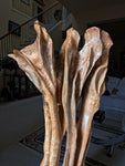 maple floor sculpture, asymmetrical, curvy, see through, wildflower like, 42'' tall, Bigleaf Maple, 603-Q