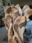 maple floor sculpture, asymmetrical, curvy, see through, wildflower like, 42'' tall, Bigleaf Maple, 603-Q