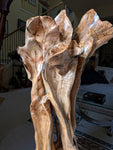 Close up view of the back side top of a wildflower-like large wooden sculpture in a living room setting.  Sculpture has exotic colorful grain patterns. 