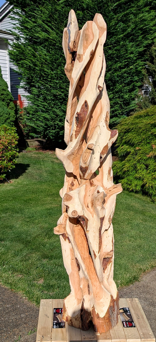Rough carving stage of what will become a rich looking one-of-a-kind 7+ foot tall by 24" x 20'' natural Western Juniper floor sculpture emphasizes the tree's natural form and beauty. It will have some live edge design and will be mostly smooth. &nbsp;It has beautiful grain patterns and will have rich golden tan and maroon natural colors (no stains or artificial colors added). When completed it will likely weigh about 160 lbs.