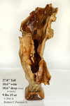 Exotic decorative driftwood vase & floor tabletop sculpture, 28" tall x 11" wide, wooden vase, wood, unique, free form sculpture, vase 264-A