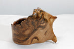. Natural wood bowl, 10.5 inch wide x 7 x 7.5, asymmetric, bizarre unique wood bowl, one-of-a-kind sculptured bowl, decorative, useful 272-A