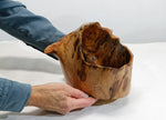 . Natural wood bowl, 10.5 inch wide x 7 x 7.5, asymmetric, bizarre unique wood bowl, one-of-a-kind sculptured bowl, decorative, useful 272-A