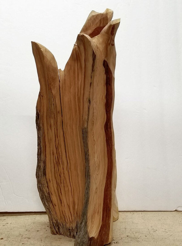 .. freeform tabletop desktop wood sculpture, rich natural colors & grain, exotic graceful lines, Wabi Sabi, dead old growth juniper tree, 480-B