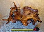exotic root bowl, Ponderosa pine rustic refined wood, live edge, natural gold maroon brown, rich grain, 7" tall x 20.5, unique, 593-A1