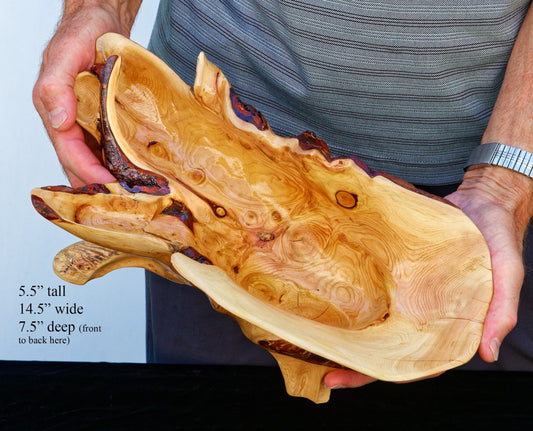 Unique, wide top, asymmetrical, rustic 16-branch conifer bowl, catchall bowl container, flowing lines, 4 legs, 5.5 tall x 14.5 x 7.5”, 236-A