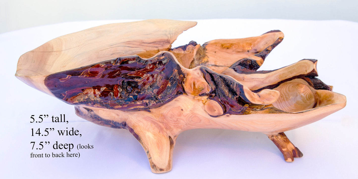 Unique, wide top, asymmetrical, rustic 16-branch conifer bowl, catchall bowl container, flowing lines, 4 legs, 5.5 tall x 14.5 x 7.5”, 236-A