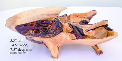 Unique, wide top, asymmetrical, rustic 16-branch conifer bowl, catchall bowl container, flowing lines, 4 legs, 5.5 tall x 14.5 x 7.5”, 236-A