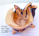 Unique, wide top, asymmetrical, rustic 16-branch conifer bowl, catchall bowl container, flowing lines, 4 legs, 5.5 tall x 14.5 x 7.5”, 236-A
