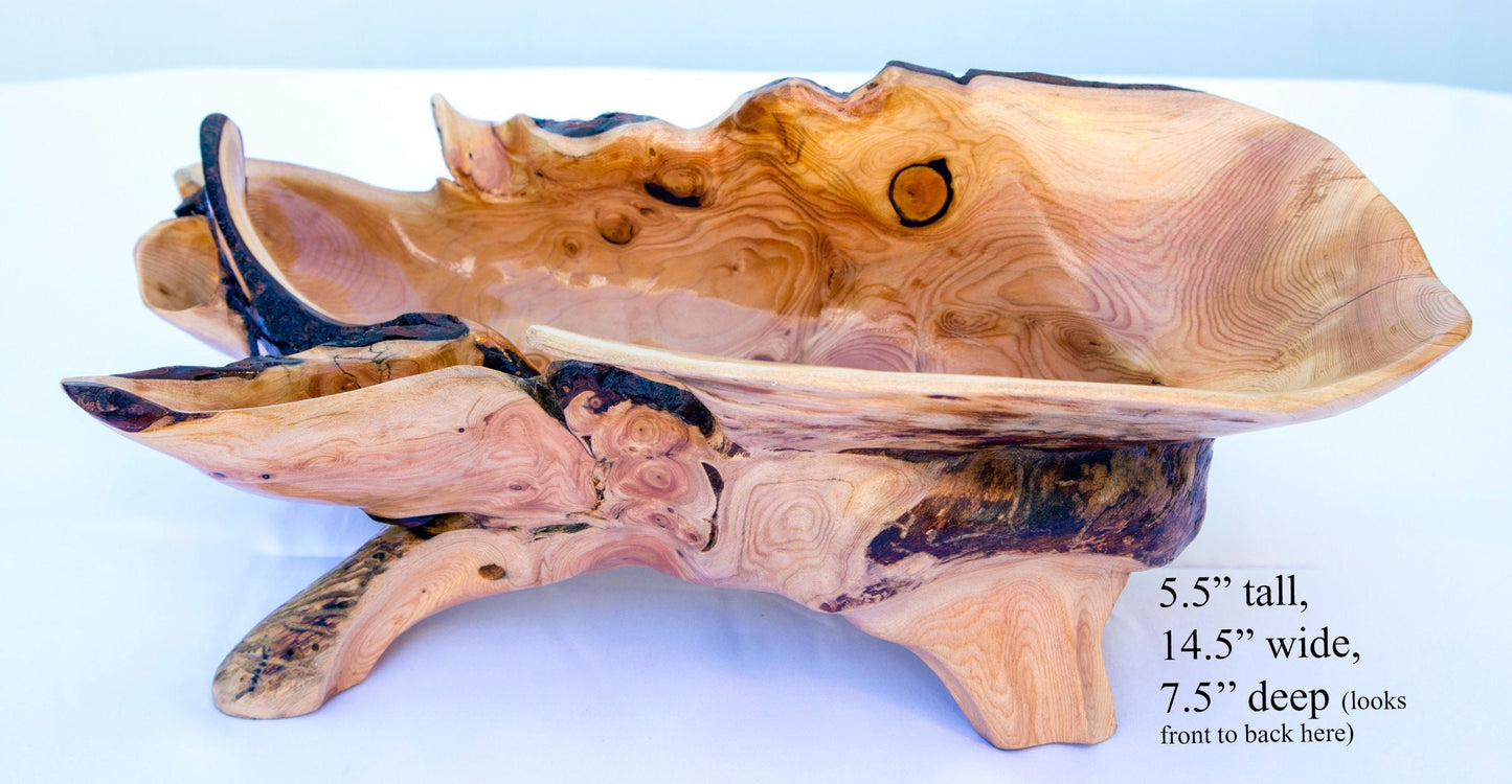 Unique, wide top, asymmetrical, rustic 16-branch conifer bowl, catchall bowl container, flowing lines, 4 legs, 5.5 tall x 14.5 x 7.5”, 236-A