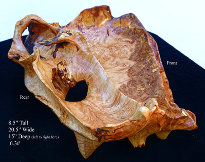 Rustic wood bowl, large, decorative, fruit bowl, unique, maple burl, birdseye, sculpture, home décor, 8.5 x 20.5 x 15", RC Paulson Jr, 215-E