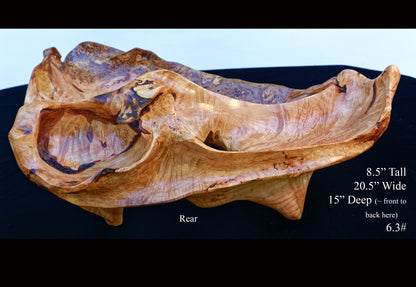 Rustic wood bowl, large, decorative, fruit bowl, unique, maple burl, birdseye, sculpture, home décor, 8.5 x 20.5 x 15", RC Paulson Jr, 215-E