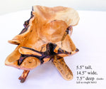 Unique, wide top, asymmetrical, rustic 16-branch conifer bowl, catchall bowl container, flowing lines, 4 legs, 5.5 tall x 14.5 x 7.5”, 236-A