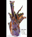 . Wood, tabletop sculpture, floor sculpture, rustic, primitive, conjoined roots, asymmetric, live wood, 21 x 21 x 13" – by Robert C Paulson Jr