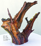 . Wood, tabletop sculpture, floor sculpture, rustic, primitive, conjoined roots, asymmetric, live wood, 21 x 21 x 13" – by Robert C Paulson Jr