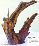 . Wood, tabletop sculpture, floor sculpture, rustic, primitive, conjoined roots, asymmetric, live wood, 21 x 21 x 13" – by Robert C Paulson Jr